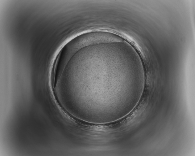 X0000093401520200710190913