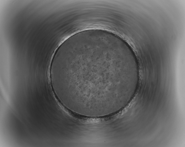 X0000093401521200710190913