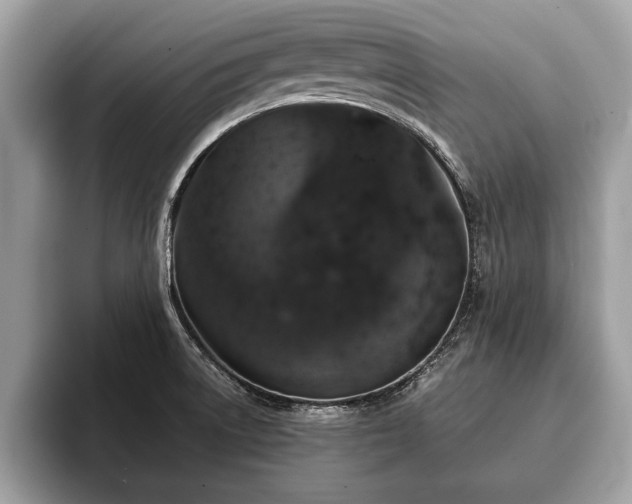 X0000093401522200710190913