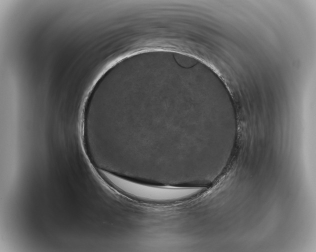 X0000093401523200710190913