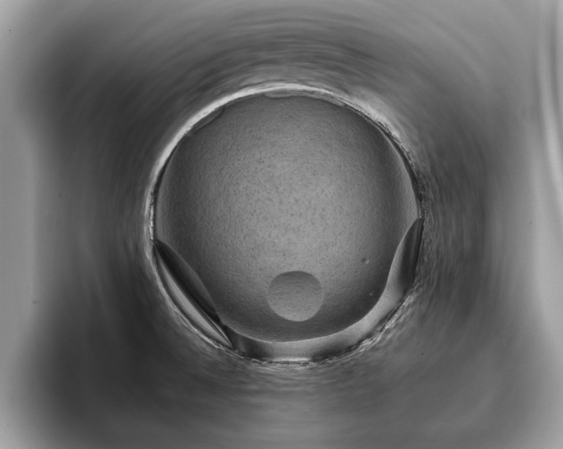 X0000093401524200710190913