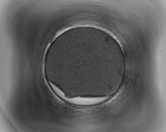 X0000093401525200710190913