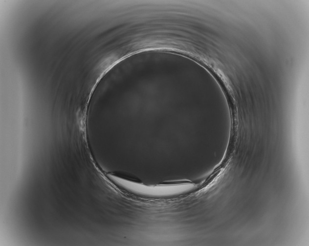 X0000093401529200710190914