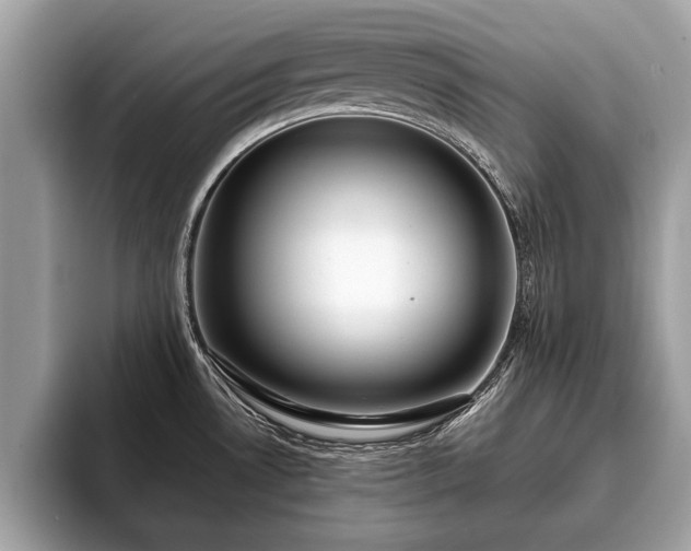 X0000093401530200710190914