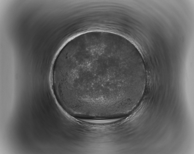 X0000093401531200710190914