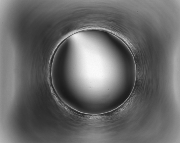 X0000093401534200710190914
