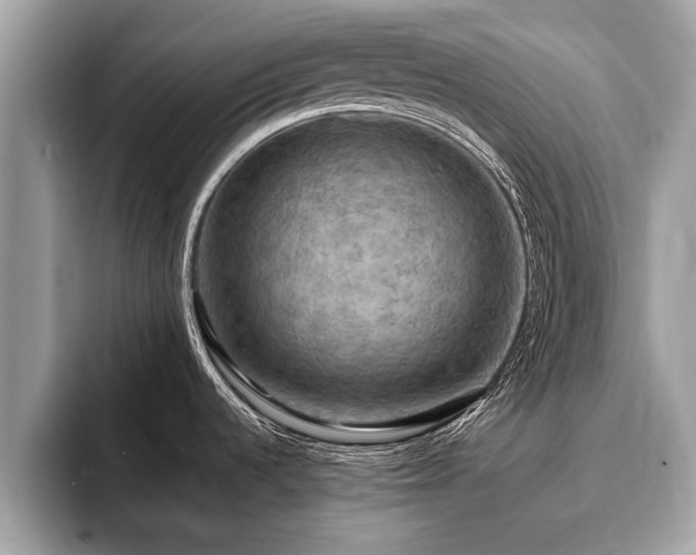 X0000093401536200710190914