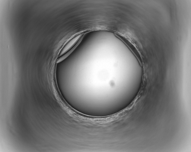 X0000093400001200710260927