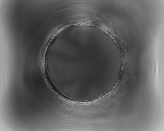 X0000093400002200710260927