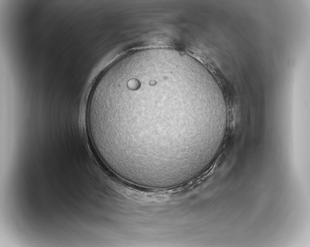 X0000093400004200710260927