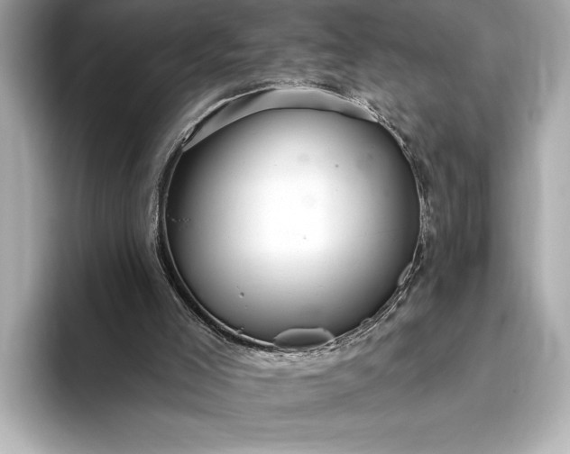 X0000093400005200710260927