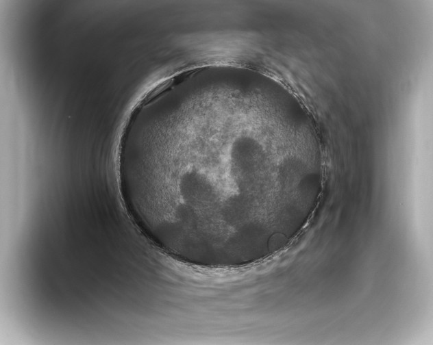 X0000093400006200710260927