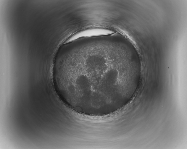 X0000093400010200710260927