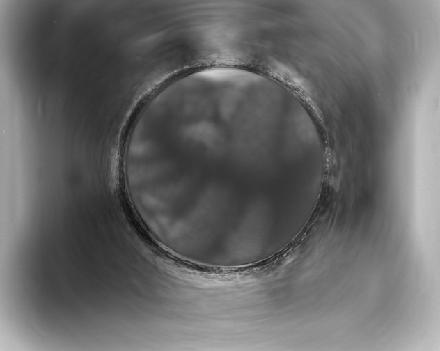 X0000093400012200710260927