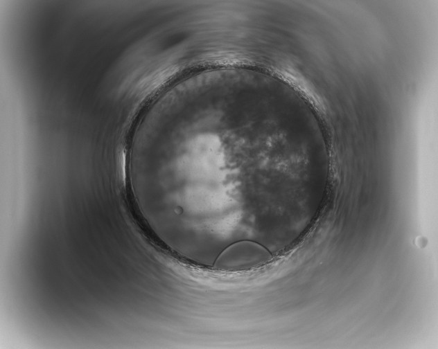 X0000093400014200710260927