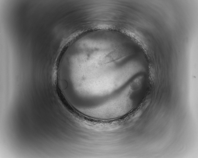 X0000093400016200710260927