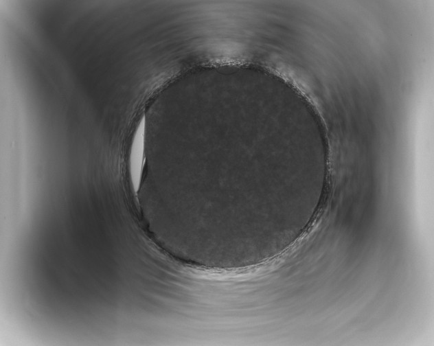 X0000093400017200710260926