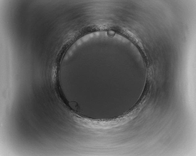 X0000093400018200710260926