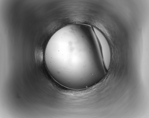 X0000093400021200710260926