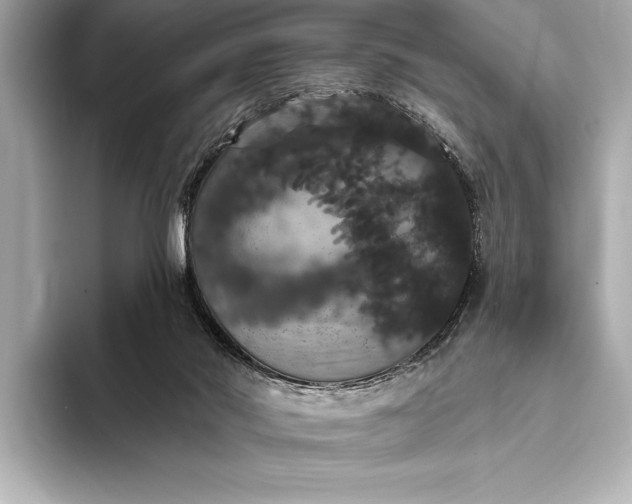 X0000093400022200710260926