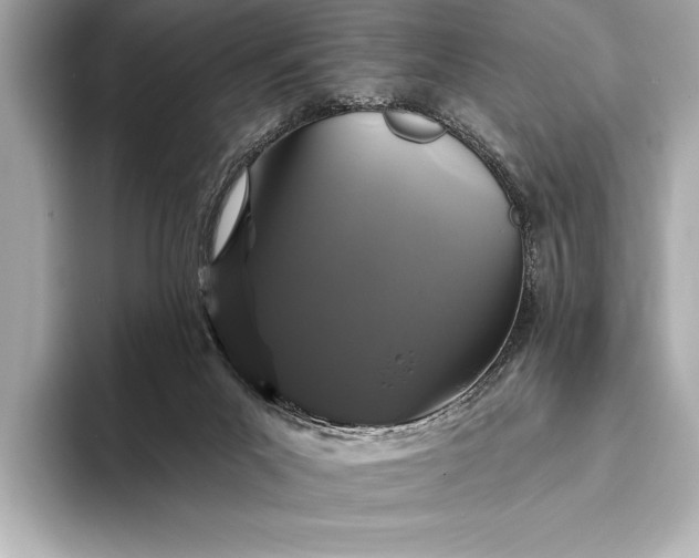 X0000093400023200710260926