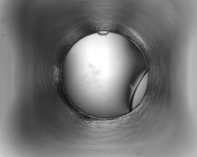 X0000093400025200710260926