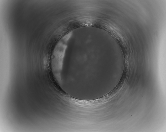 X0000093400030200710260926