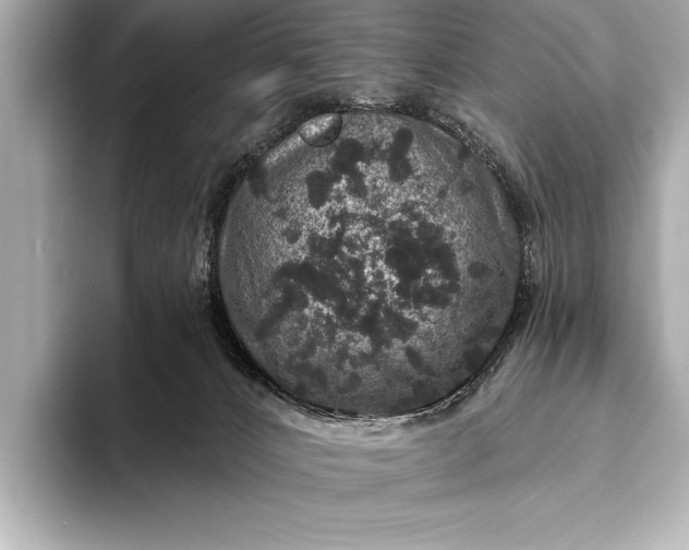 X0000093400032200710260926