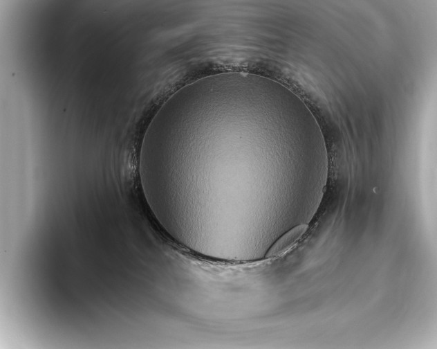 X0000093400040200710260926