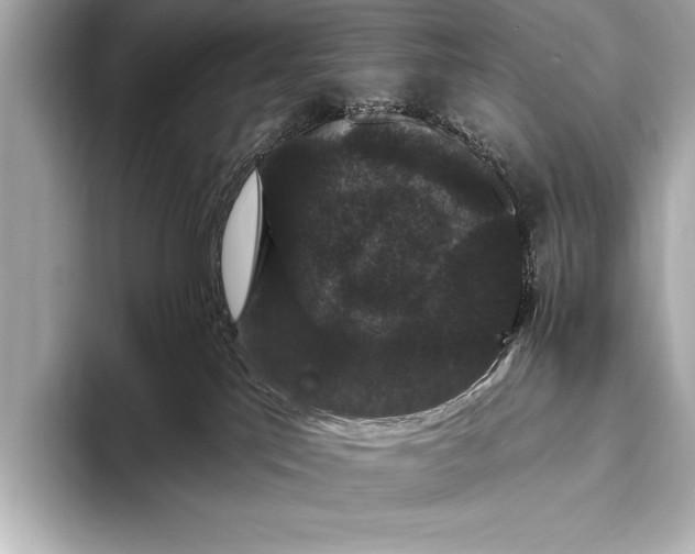 X0000093400041200710260926