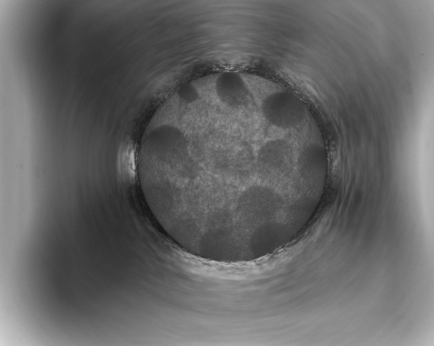 X0000093400042200710260926