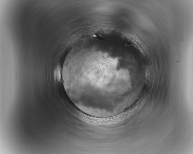 X0000093400046200710260926