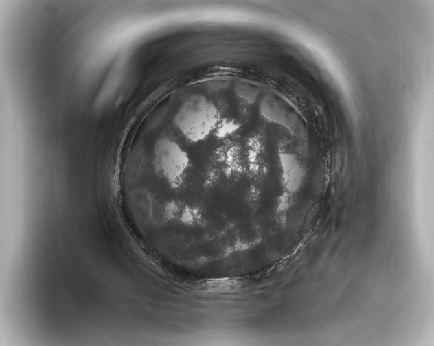 X0000093400050200710260925