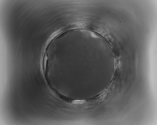 X0000093400051200710260925