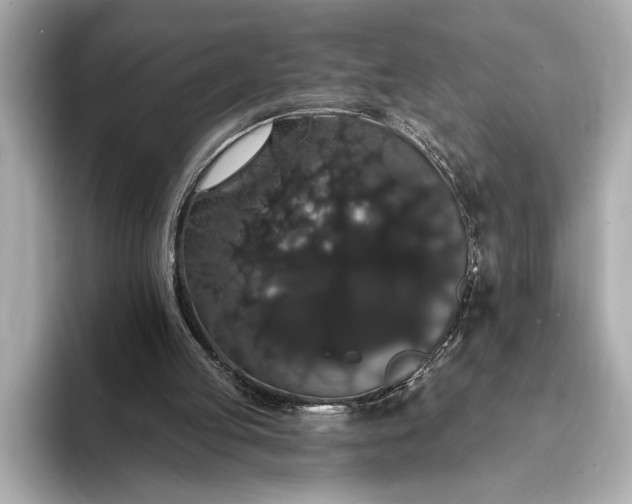 X0000093400053200710260926