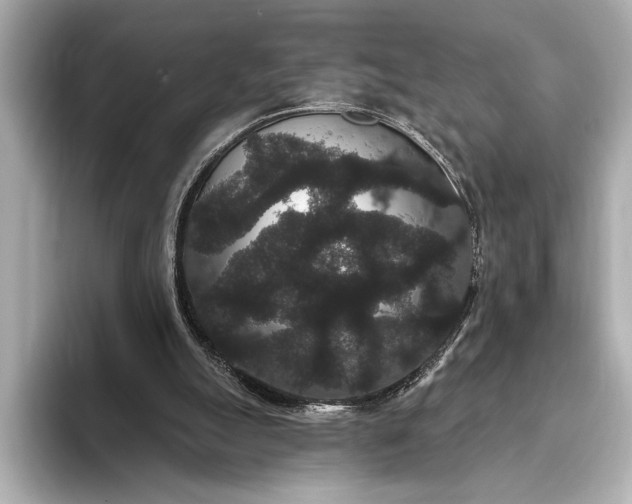 X0000093400055200710260926