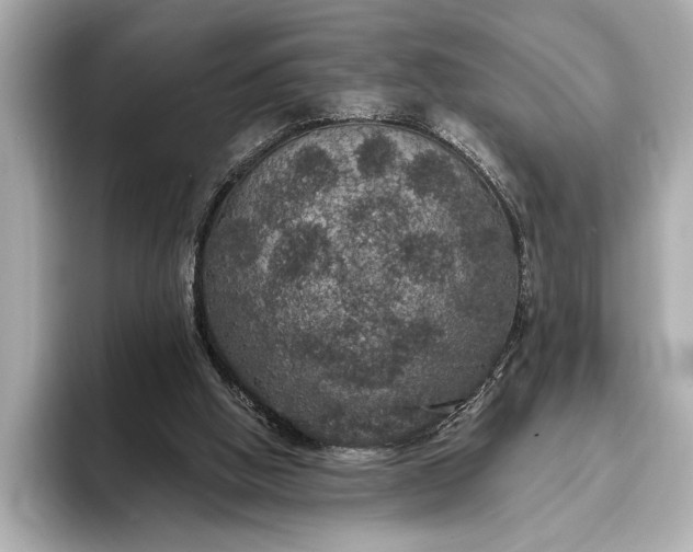 X0000093400058200710260926