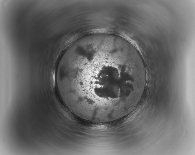 X0000093400061200710260926