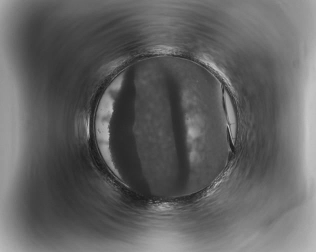 X0000093400062200710260926