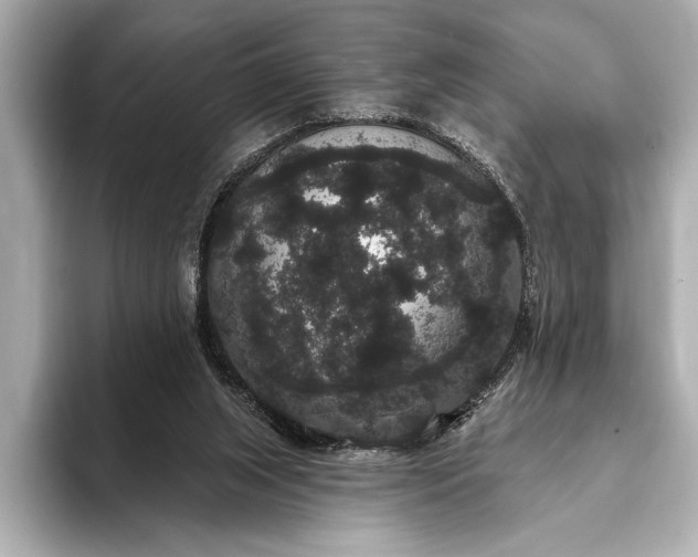 X0000093400063200710260926