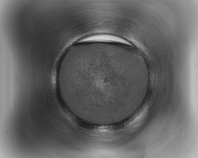 X0000093400064200710260926