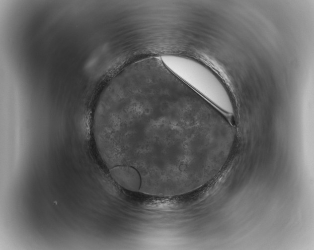 X0000093400065200710260926