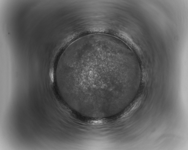 X0000093400068200710260926