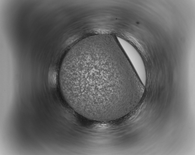 X0000093400071200710260926