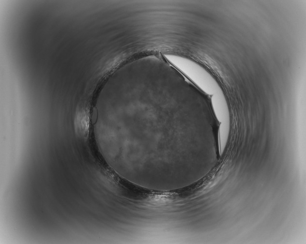 X0000093400072200710260926