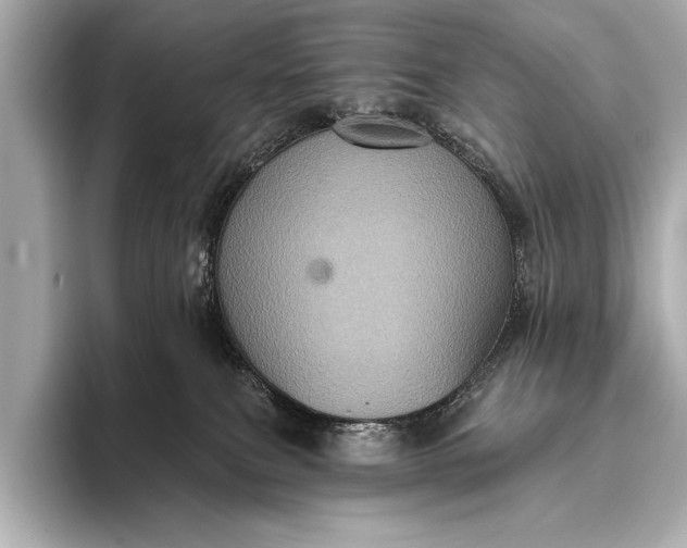 X0000093400087200710260926