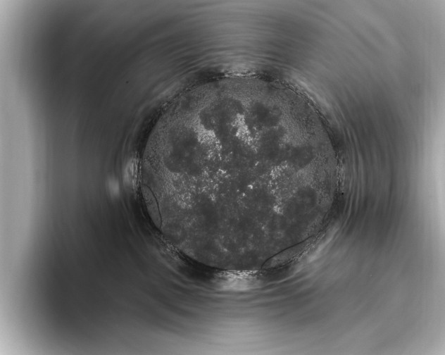 X0000093400093200710260926