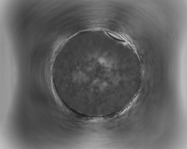 X0000093400097200710260925