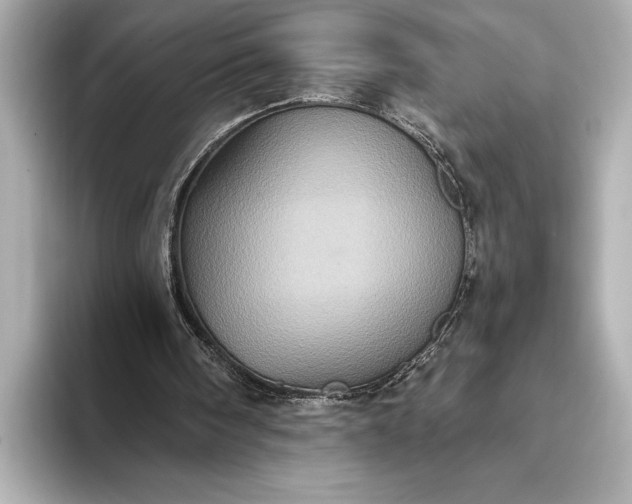 X0000093400098200710260925