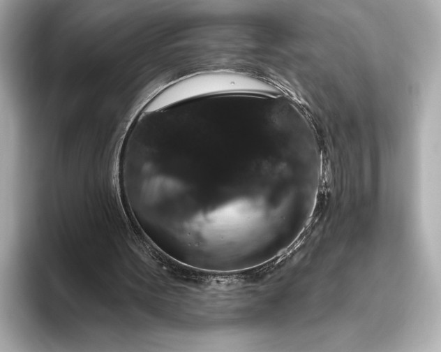 X0000093400099200710260925